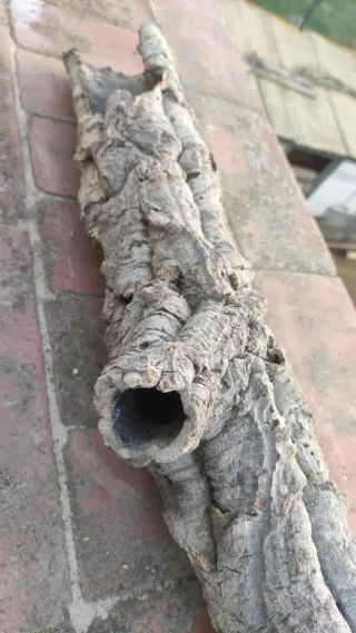 Cueva terrario escondite tronco