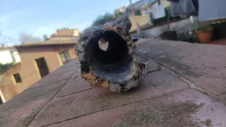 Cueva terrario escondite tronco