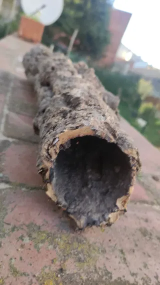 Cueva terrario escondite tronco