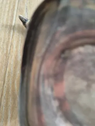 Quemador de incienso vintage en forma de ave