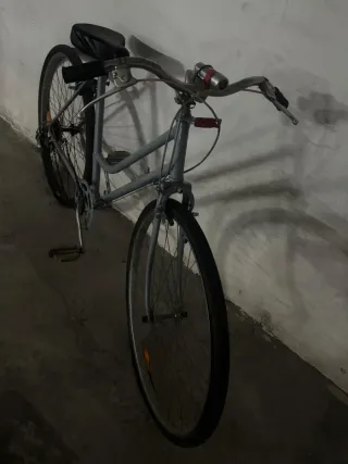 Bicicleta Gris