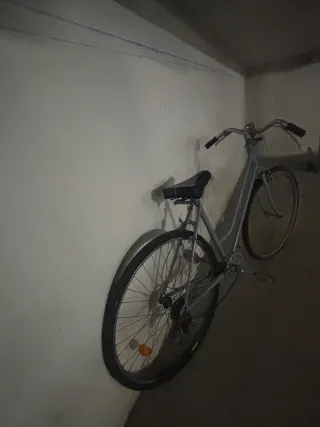 Bicicleta Gris