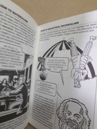 Introducing Philosophy: A Graphic Guide