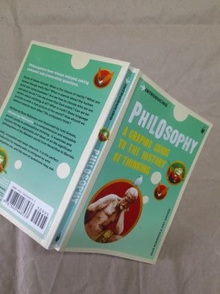 Introducing Philosophy: A Graphic Guide