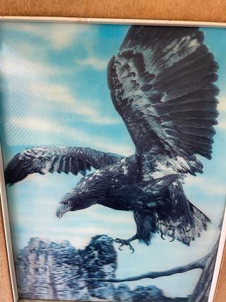 Quadro Aquila 3D Lenticolare Vintage