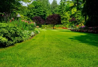 Servicios de Jardinería Profesional