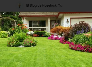 Servicios de Jardinería Profesional