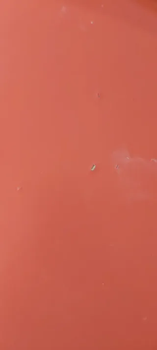 Trona de madera para bebé