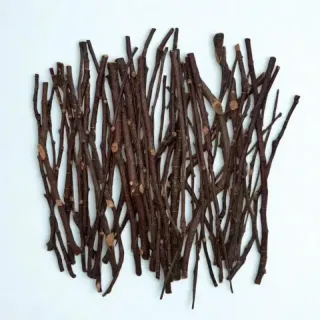 Bastoncini di Melo per Roditori