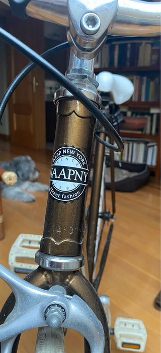 Bicicleta Fixie NAAPNY