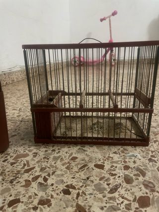 Jaulas para pájaros y 25 caberneras