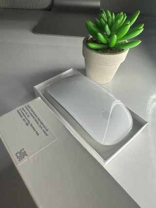 Apple Magic Mouse USB-C 2024