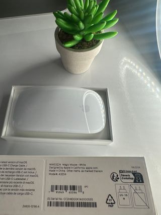 Apple Magic Mouse USB-C 2024