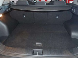Kia Sportage 1.6 T-GDi HEV 171kW (230CV) Drive 4x2