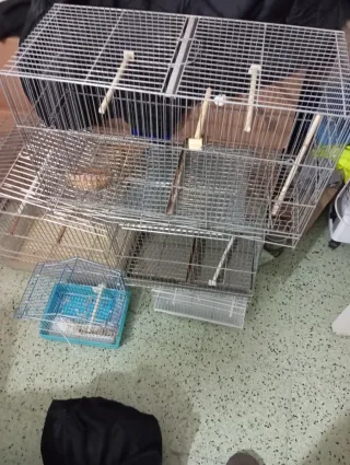 Jaulas para pájaros metálicas