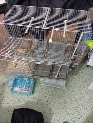 Jaulas para pájaros metálicas