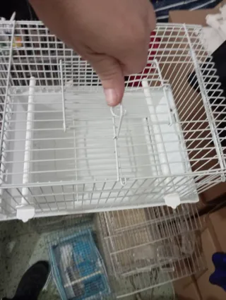 Jaulas para pájaros metálicas