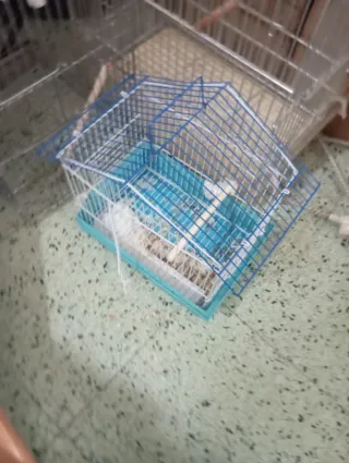 Jaulas para pájaros metálicas