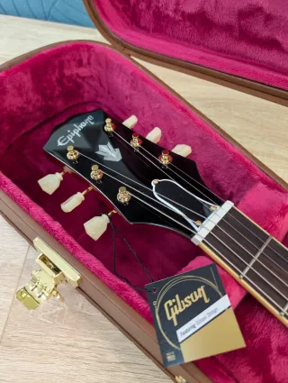 Epiphone ES-345 Back to the Future