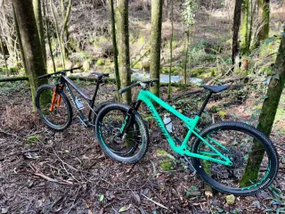 Specialized Epic World Cup