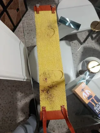 Cinturón de san Gonzalo