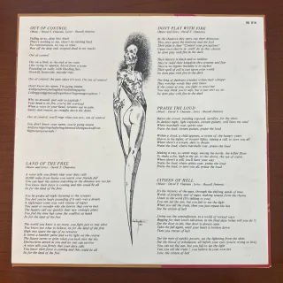 - Vinyl, Album, LP 33 giri, Rock