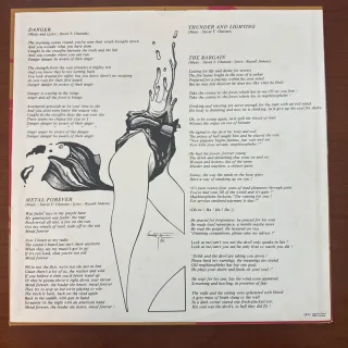 - Vinyl, Album, LP 33 giri, Rock