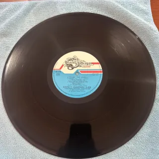 - Vinyl, Album, LP 33 giri, Rock