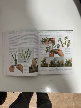 Enciclopedia de las plantas de acuario (Animale...