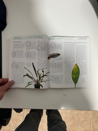 Enciclopedia de las plantas de acuario (Animale...