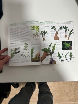 Enciclopedia de las plantas de acuario (Animale...