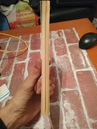 Los compañeros de Livingstone Libro