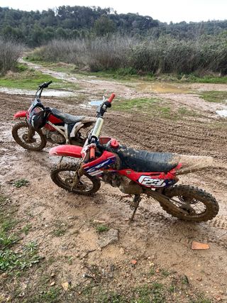 Pit Bike 160cc Motocross