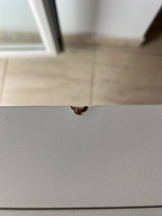 Escritorio plegable blanco