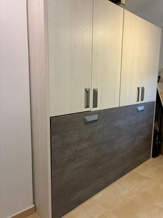 Mueble juvenil cama abatible + armario