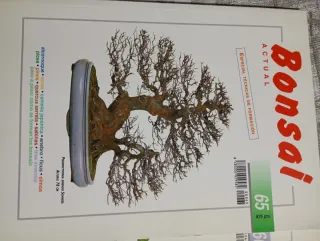 Revistas bonsai actual