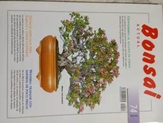 Revistas bonsai actual