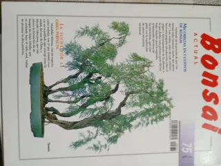 Revistas bonsai actual