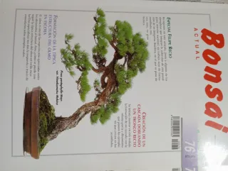 Revistas bonsai actual
