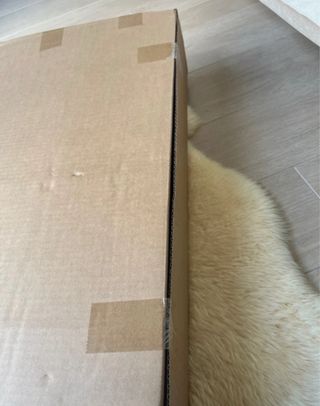 Carrello Trotten Ikea