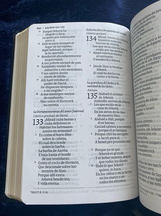 Biblia Reina Valera 1960 Tamaño manual Letra grand