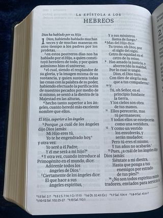 Biblia Reina Valera 1960 Tamaño manual Letra grand