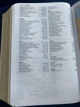 Biblia Reina Valera 1960 Tamaño manual Letra grand