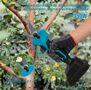 NUEVO Lote Motosierra + Tijeras Podar TELESCOPICAS