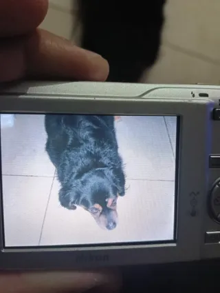 Cámara Digital Nikon COOLPIX S200 Plateado