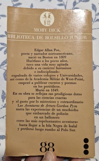 Aventuras de Arturo Gordon Pym