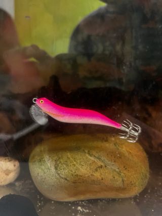 Poteras artesanales 2.5