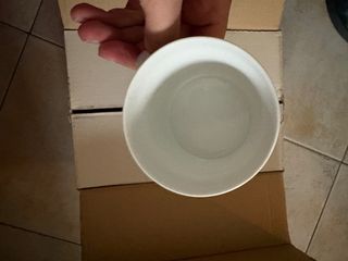 Servizio Tazze Richard Ginori