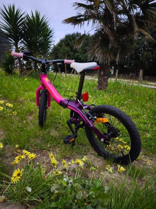 Bicicleta Orbea Grow 1 Rosa 16"