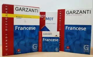 Grande dizionario di francese e italiano.
